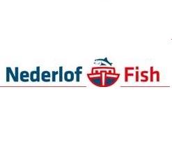 nederlof | Arbo Rotterdam